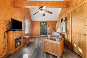 TV, caminetto, lettore DVD, libri