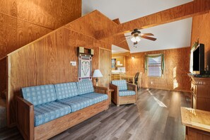 TV, caminetto, lettore DVD, libri