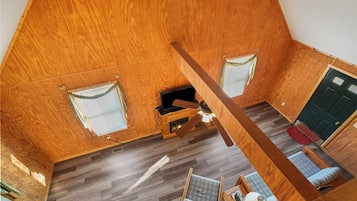 Televisión, chimenea, reproductor de DVD y libros