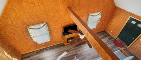 Fireplace, DVD player, books, video library