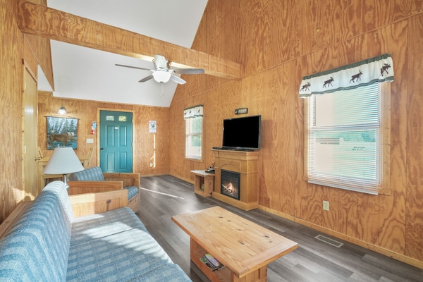 Televisión, chimenea, reproductor de DVD y libros