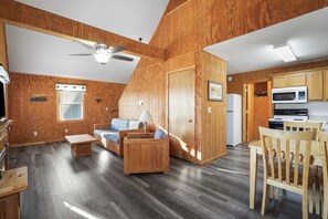 テレビ、暖炉、DVD プレーヤー、書庫