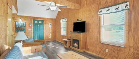 Fireplace, DVD player, books, video library