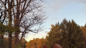 Una strada di campagna che conduce a una piccola baita di legno immersa tra alberi e vegetazione.