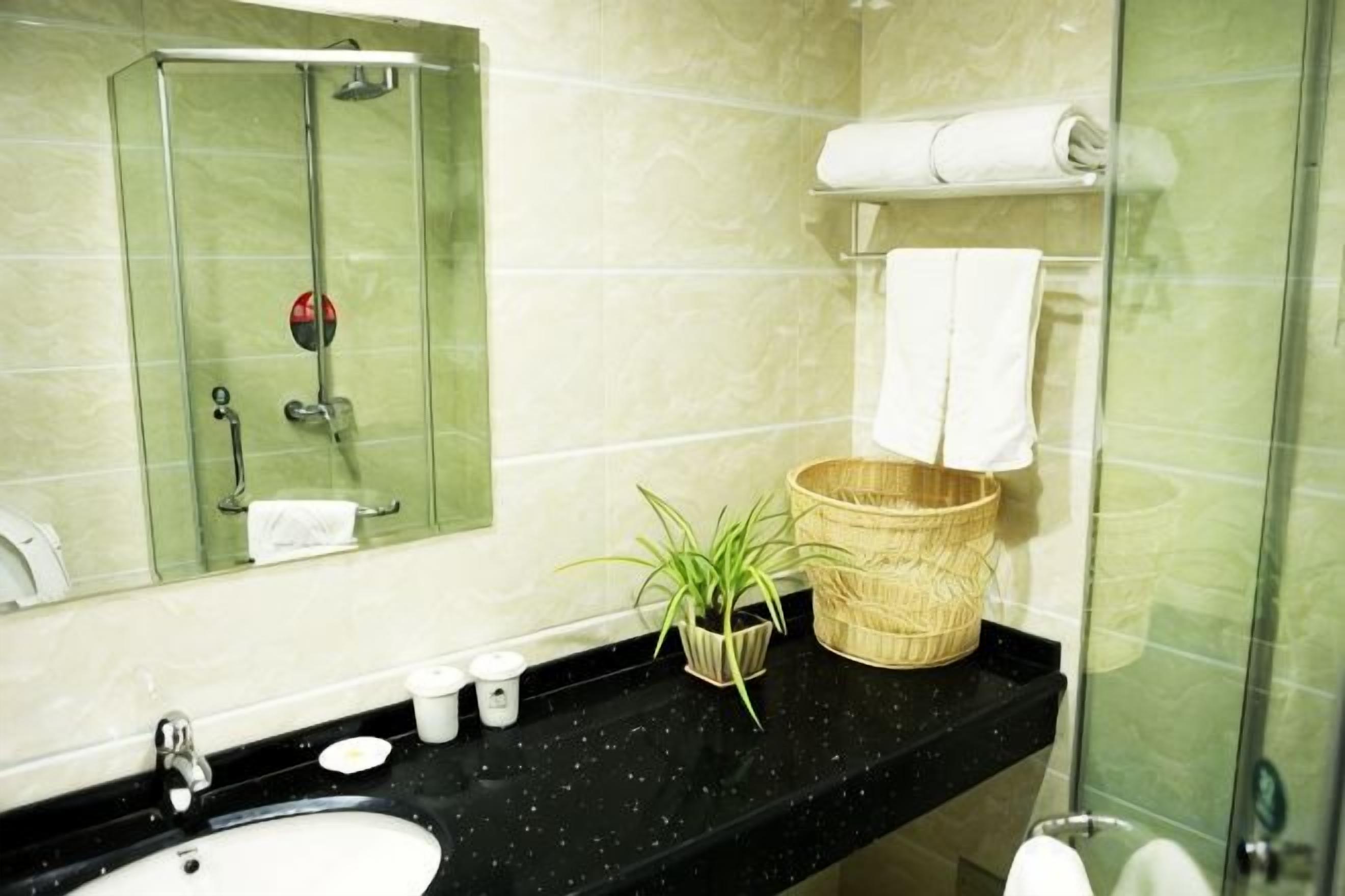 Une salle de bain avec une douche à parois de verre, un lavabo, un miroir, un porte-serviettes et une petite plante posée sur le comptoir.