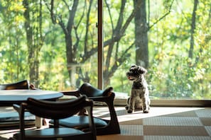 Pet-friendly