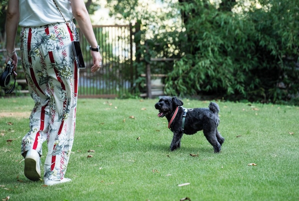 Pet-friendly amenities