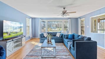 Smart TV, computer monitors