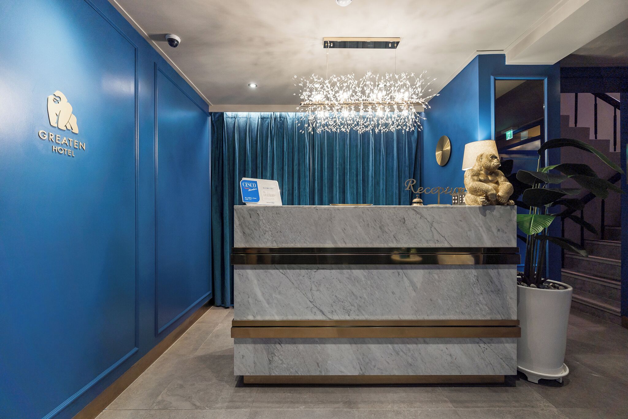 A hotel reception desk with a blue wall, a marble counter, a chandelier, and a sign indicating a room rate.