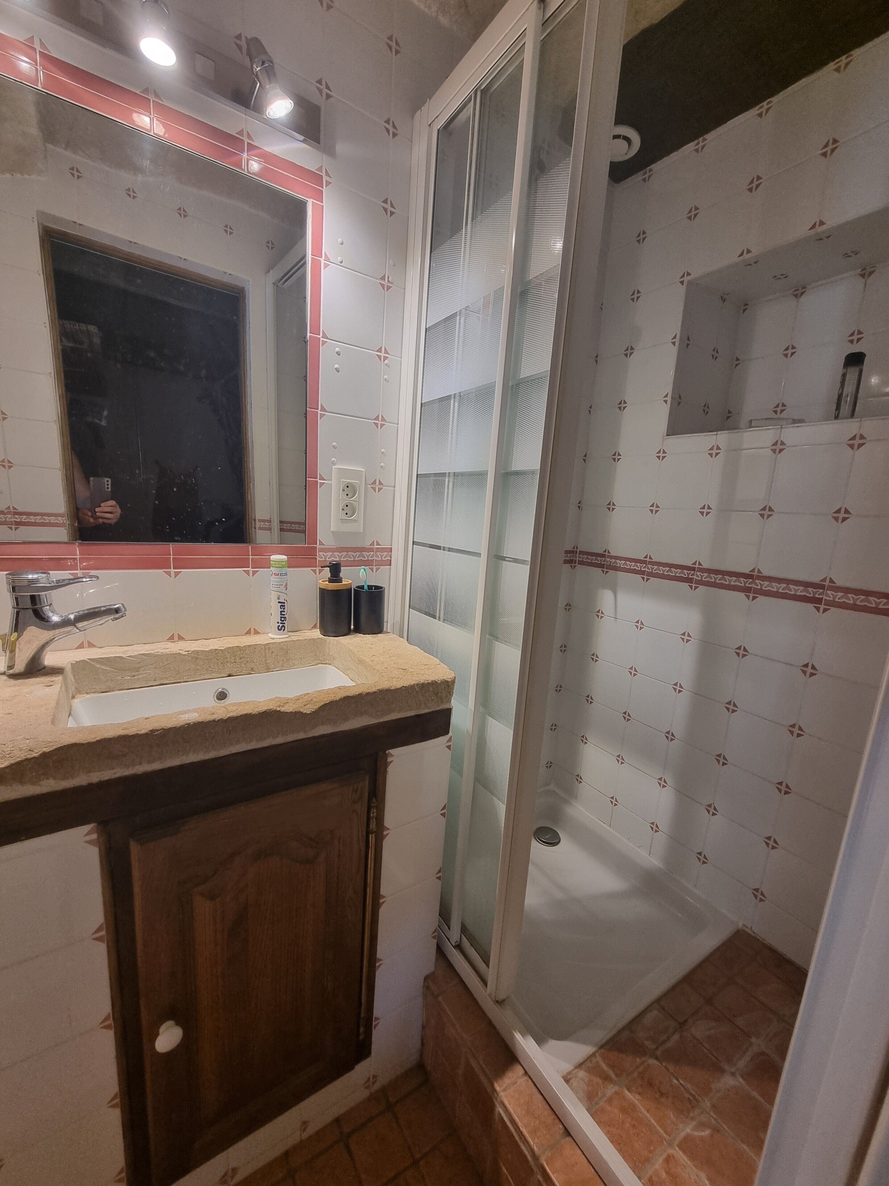 A bathroom with a sink, mirror, and shower.