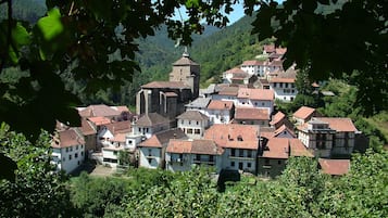 Overig