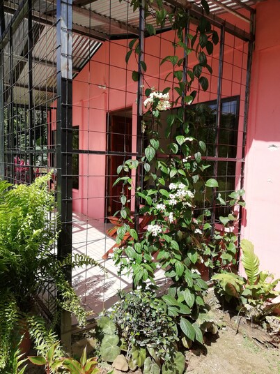 Paraíso Verde, pets are welcome. 