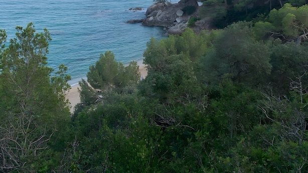 Et kystlandskab med strand, klippeformationer og frodig vegetation.