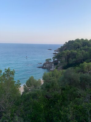 A coastal landscape with a beach, rocky outcrops, and dense greenery.