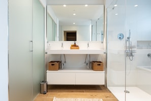 Shower, hair dryer, towels