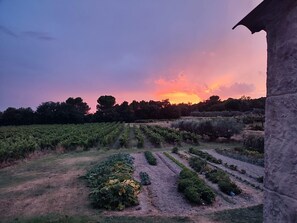 Property grounds - Country House 'Escale Des Crozes' with Mountain View, Shared Pool and Wi-Fi (Saint-Romain-en-Viennois)
