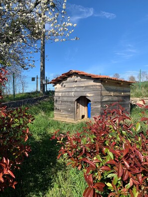 Área da propriedade