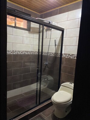 Shower, towels, toilet paper