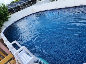 Outdoor pool - Charming 2-bedroom specious updated pool house in Port Richey, feel home (Port Richey)