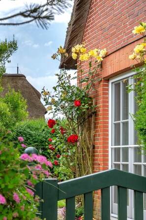 Unclassified image, 3 of 35, button