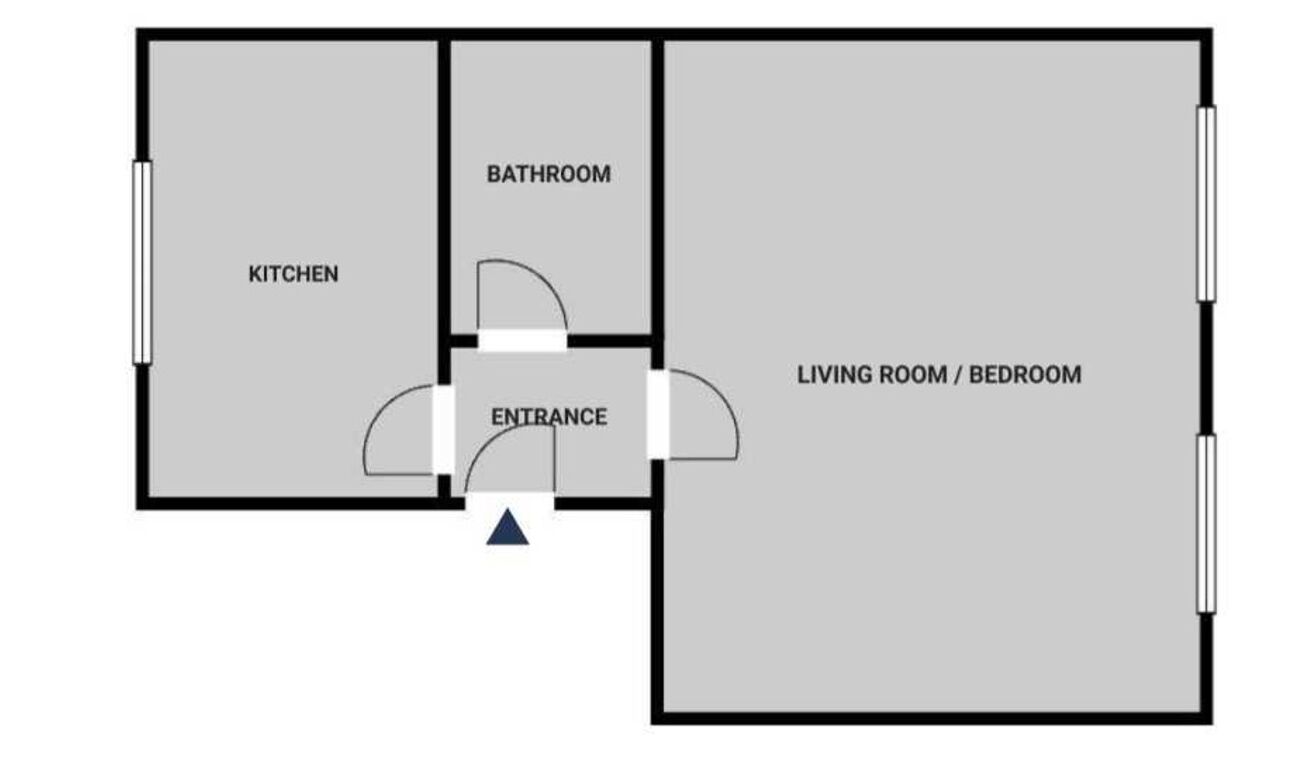 A floor plan with a kitchen, bathroom, living room/bedroom, and an entrance.
