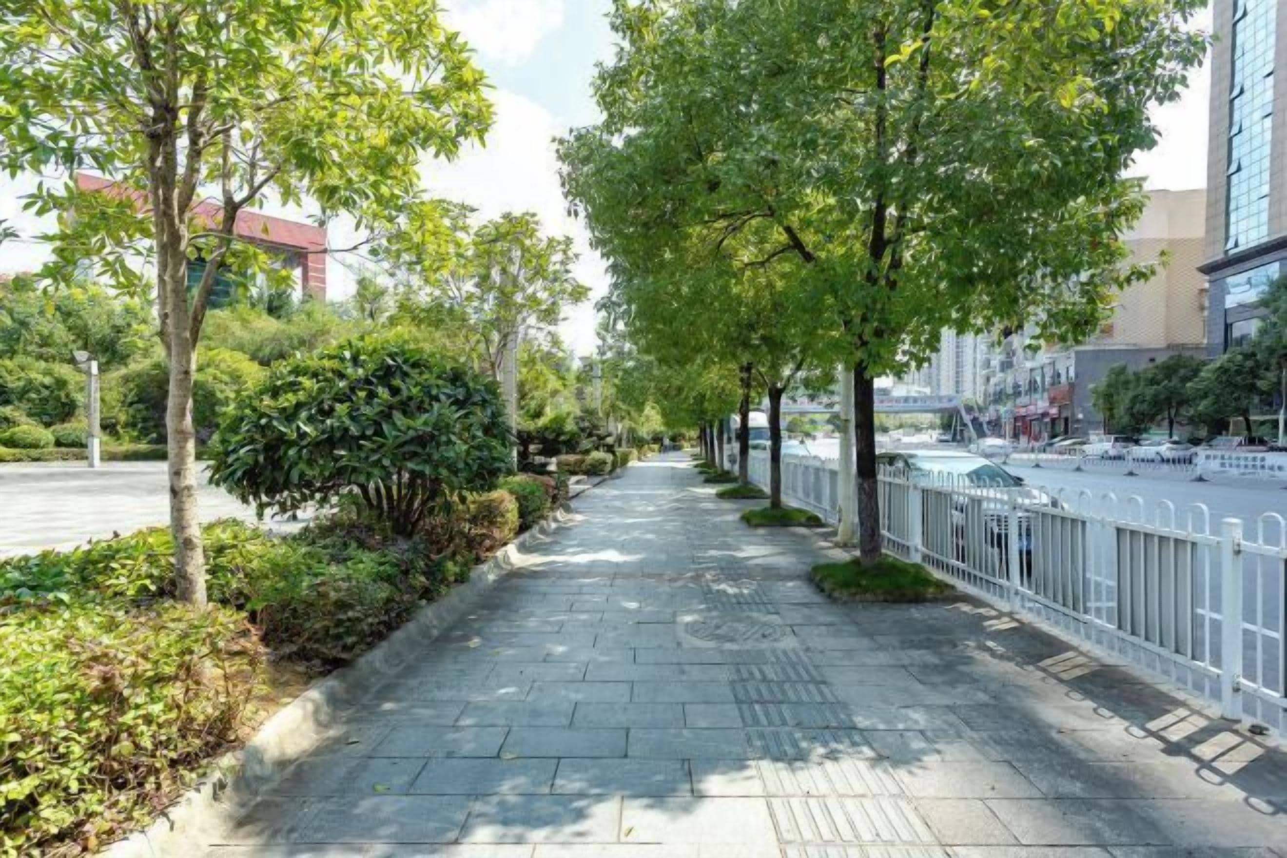 A tree-lined walkway with a white fence on one side and a road on the other.
