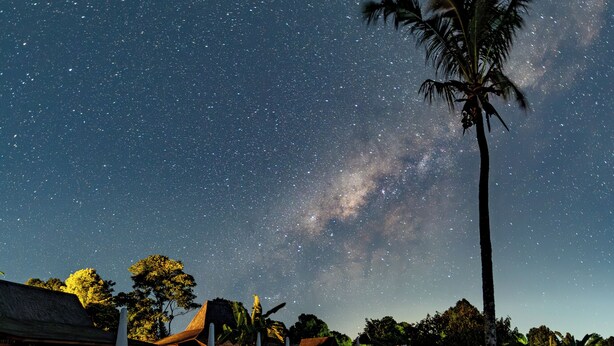 Una escena nocturna con cielo estrellado, una palmera y una piscina que refleja las estrellas.