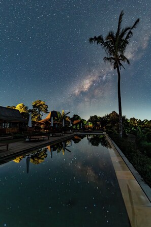 A night scene with a starry sky, a palm tree, and a pool reflecting the stars. - Umah Lusa (Banjar)
