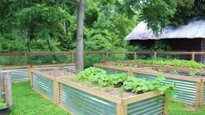 Ein Garten mit erhöhten Beeten, Holzzaun und einer gebäudeartigen Struktur mit Metalldeckung im Hintergrund.