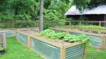 المنطقة المحيطة بالمنشأة