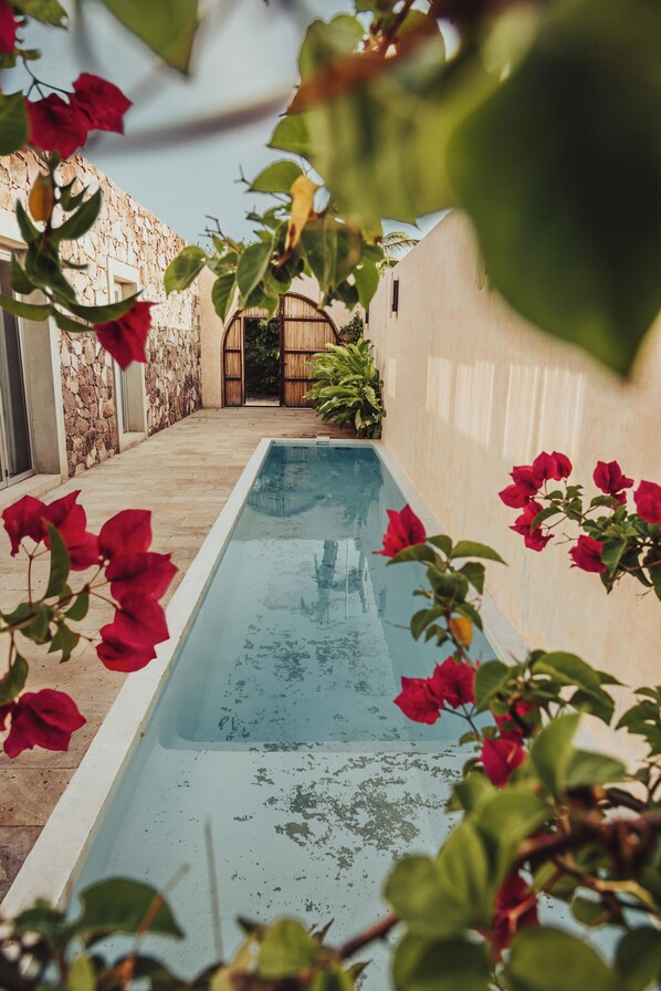 Exterior - Villa Quetzalpapalotl (Pérula)