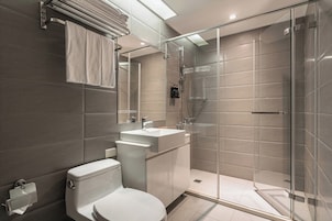Shower, hair dryer, towels, shampoo