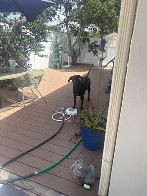 Terrass/Patio