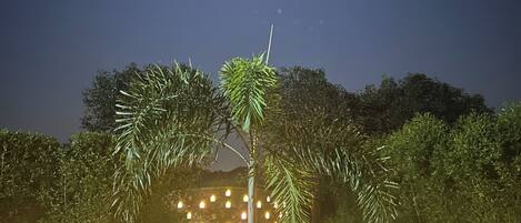 Una escena nocturna con un sendero bien iluminado, una palmera en el centro y un edificio de piedra al fondo.