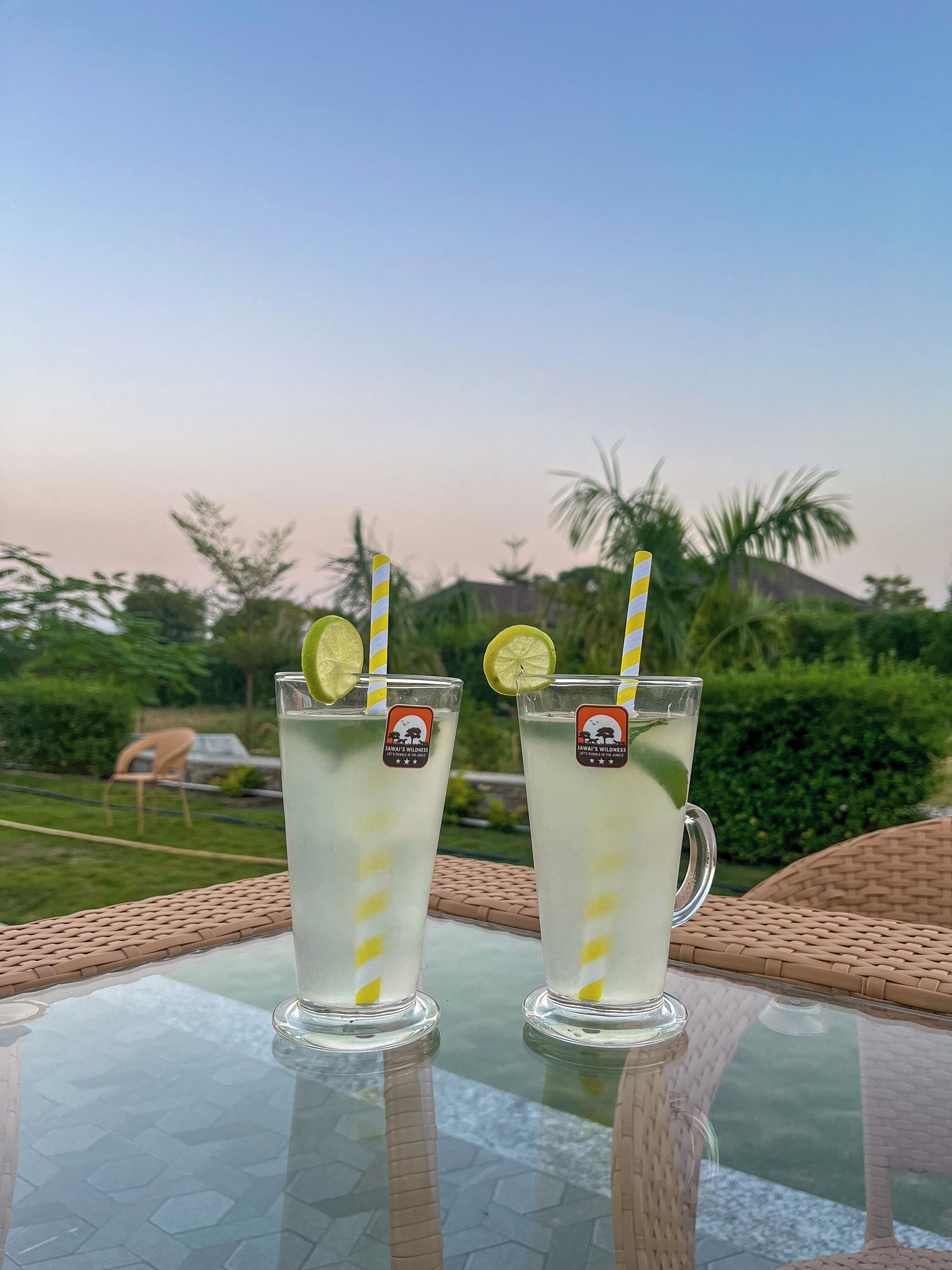 Deux verres contenant une boisson, chacun muni d’une paille et d’une tranche de citron vert, sont posés sur une table en verre. On aperçoit, en arrière-plan, de la verdure et une chaise.