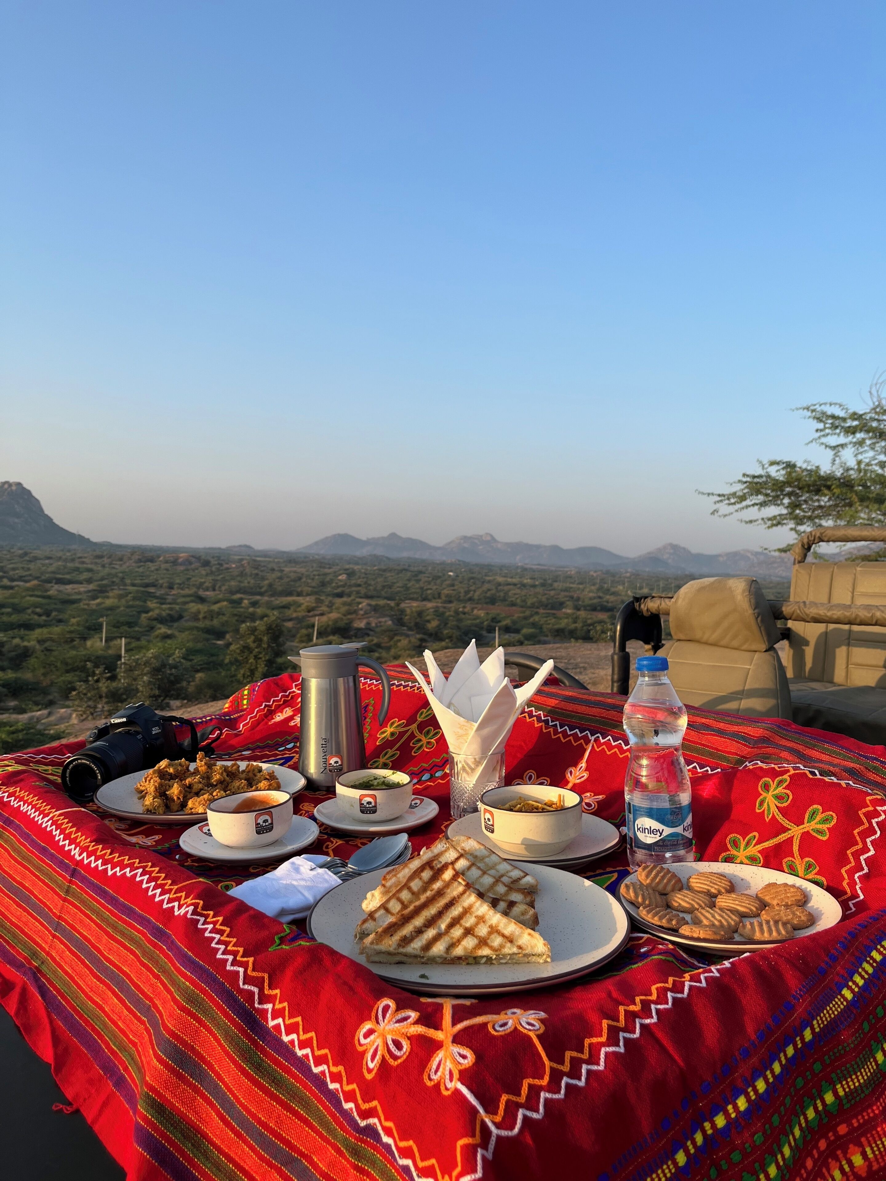 A picnic setup with a camera, food, and a view of mountains.