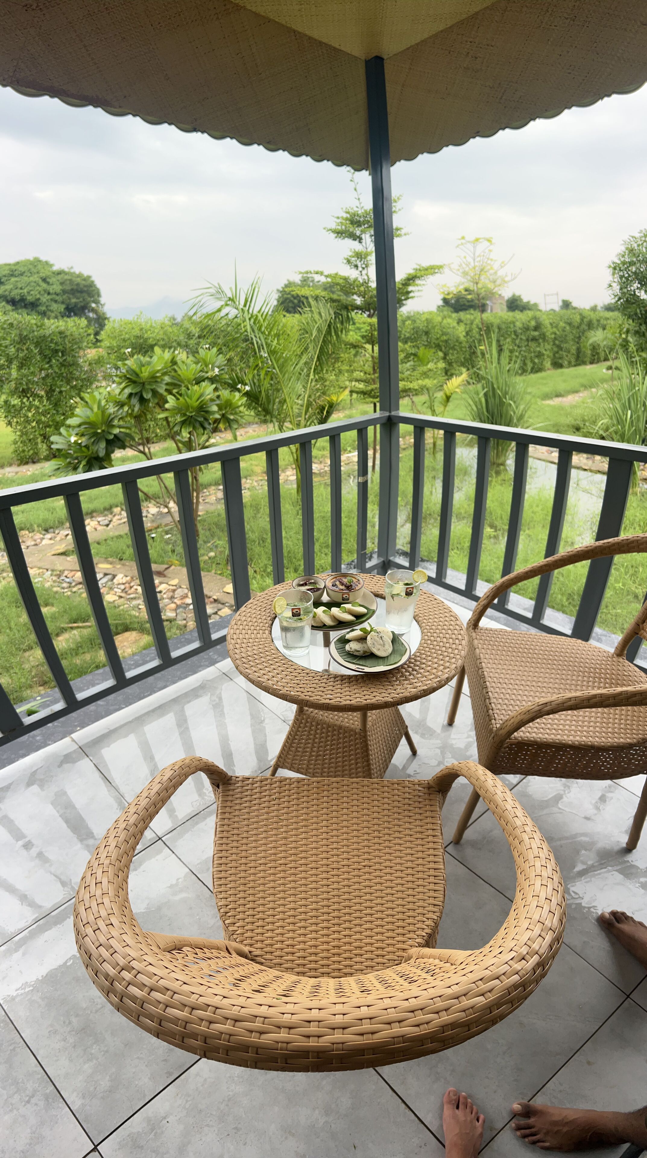 A covered outdoor seating area with wicker furniture, a table with food and drinks, and a view of greenery.