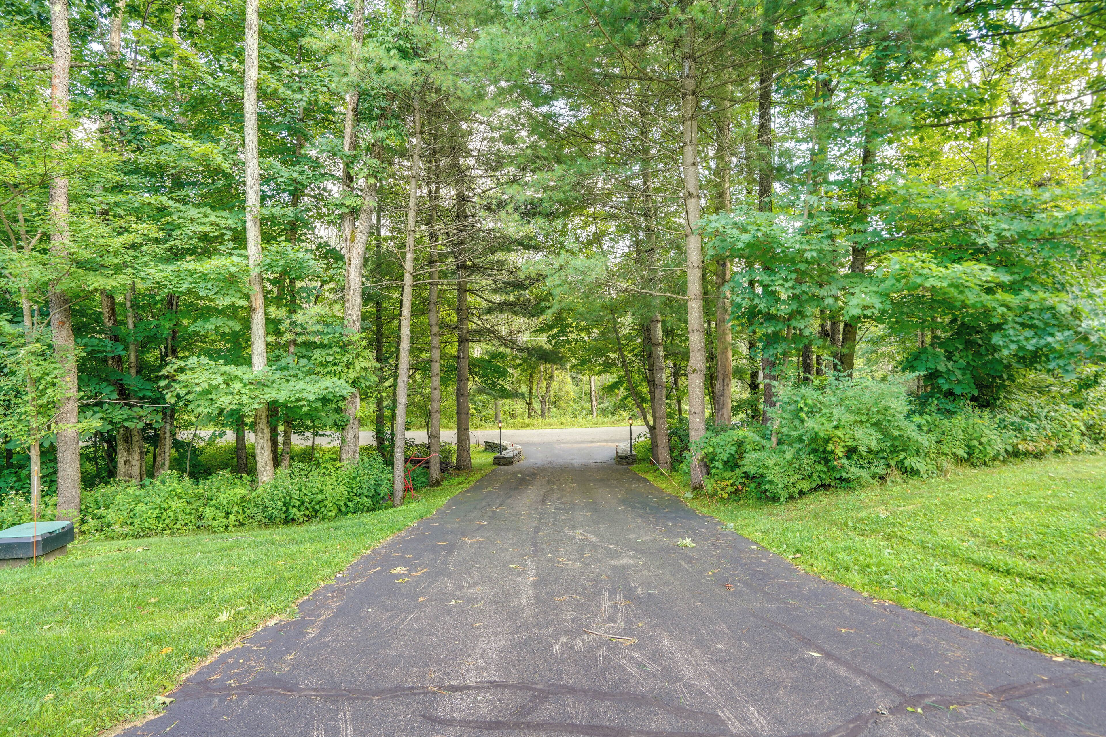 A paved road leading through a forested area with tall trees and dense greenery on both sides.