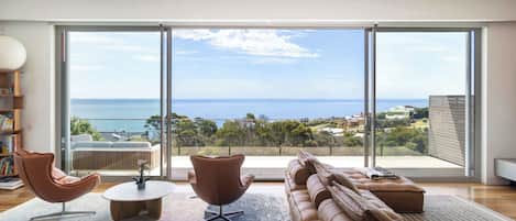 TV, fireplace, video games, books