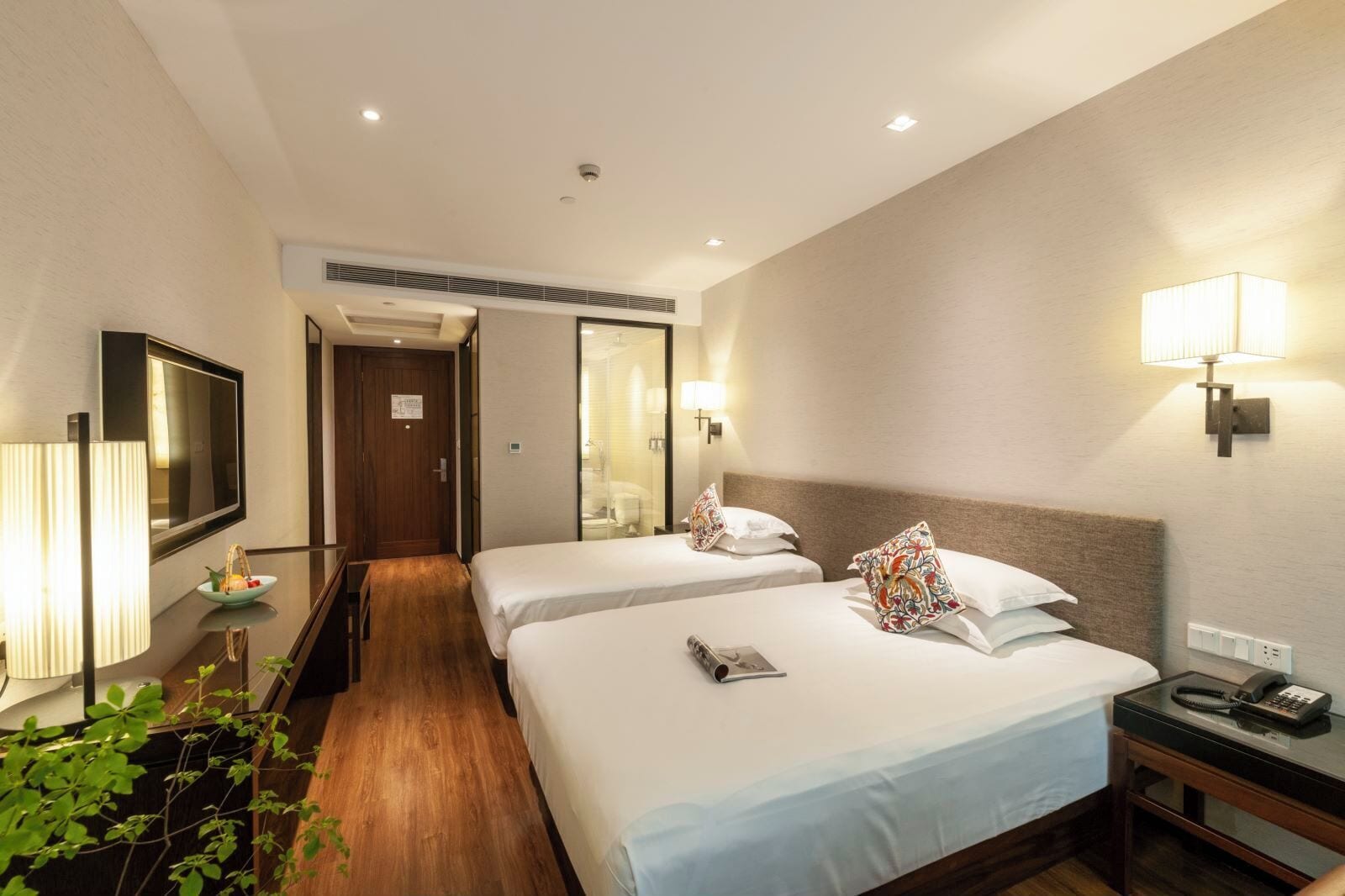 A hotel room with two beds, a TV, a bedside table with a lamp, a mirror, and a small plant.