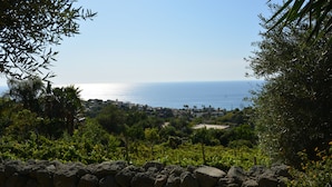 Unclassified image, 3 of 18, button - agriturismo la pergola (Forio)