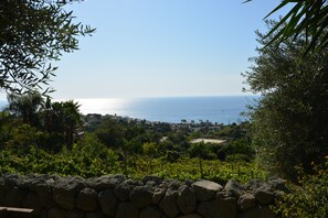 Water view - agriturismo la pergola (Forio)