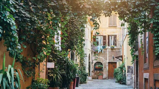 A narrow cobblestone street flanked by buildings with ivy-covered walls and potted plants. - Rome  City Center, close to Trevi Fountain! Enjoy the Eternal City!  (Roma)