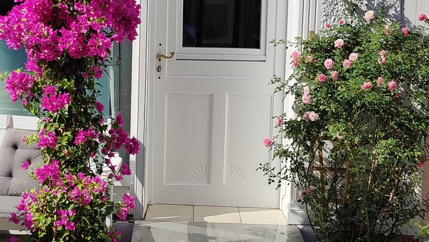 Een witte deur met een klein raam, een pot met bougainvillea, een rozenstruik in pot en een metalen trede naar de deur.