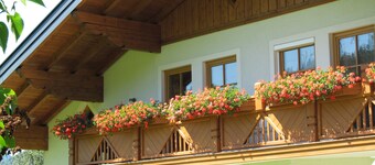 Holiday Apartment 'Apart Waldblick' with Mountain View, Shared Terrace & Wi-Fi (No Kitchen)