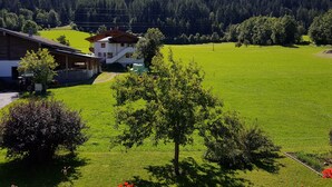 Uklassifisert bilde, 5 av 40, knapp