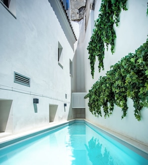 Deluxe Double or Twin Room, 1 King Bed, Courtyard View | Living area | 42-inch Smart TV with digital channels, tablet, MP3 dock - Hotel Boutique Sidonia (Jerez de la Frontera)