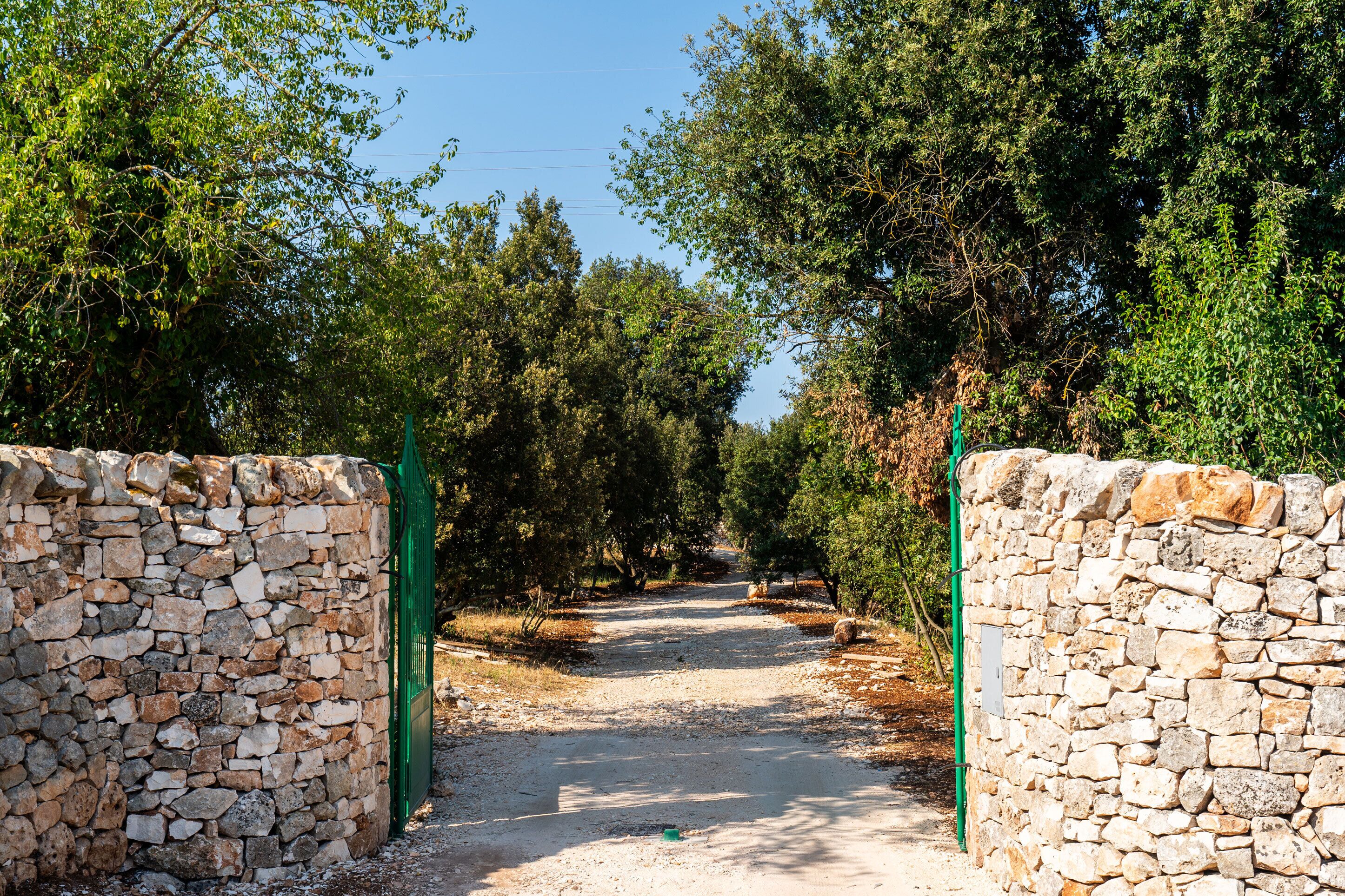 Un sentier de pierres mène à une porte rustique, entourée d’arbres touffus et d’une végétation luxuriante.