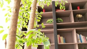 A bookshelf with multiple shelves, some containing books and others with decorative items like plants and a small red container. - Ease Hotel (Beijing Liangxiang University Town) (Beijing)