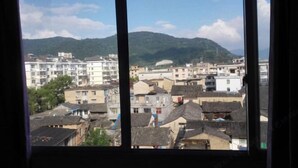 Vista de un pueblo con edificios y una montaña al fondo.
